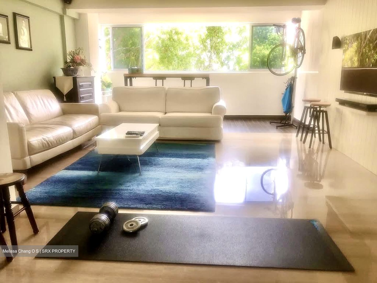 Blk 322 Serangoon Avenue 3 (Serangoon), HDB Executive #548168041